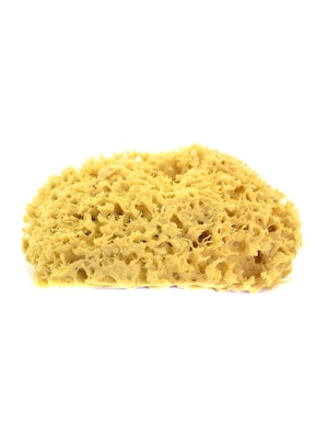 Royal And Langnickel Natural Sponges Wool Sponge 6 1/2 In. X 7 In. [Pack Of  2] (2PK-R2021)