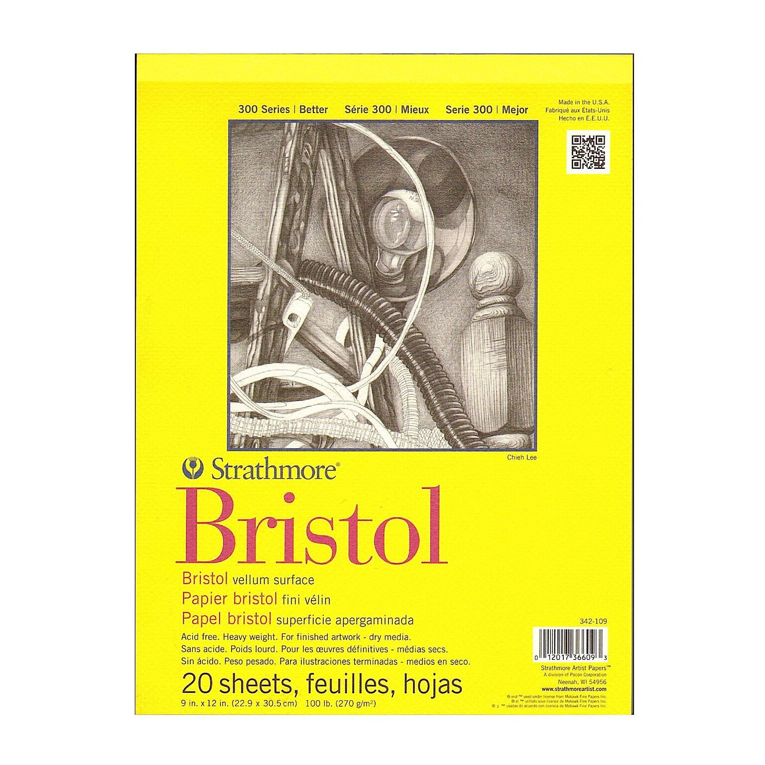 Strathmore 300 Series Bristol Vellum 9 In. X 12 In. [Pack Of 2] (2PK-342-109-1)