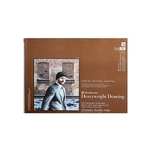 Strathmore Heavyweight Drawing Paper 18 In. X 24 In. (400-218-1)