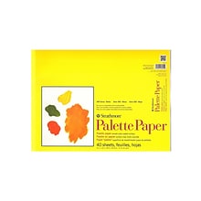 Strathmore Paper Palette Pad 12 In. X 16 In. [Pack Of 2] (2PK-365-12-1)