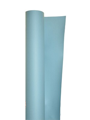The Bd Company Background Paper 53 In. X 12 Yd. Roll Sky Blue (2-1253)