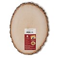 Walnut Hollow Basswood Country Rounds Large 9 In. To 11 In. (27671)