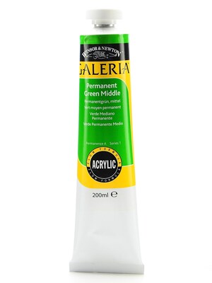Winsor  And  Newton Galeria Flow Formula Acrylic Colours Permanent Green Middle 200 Ml 484 [Pack Of 2] (2PK-2136484)