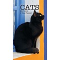 2017 TURNER PHOTO Cats Photo 2-Year Planner (17998960002)