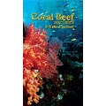 2017 TURNER PHOTO Coral Reef Photo 2-Year Planner (17998960016)