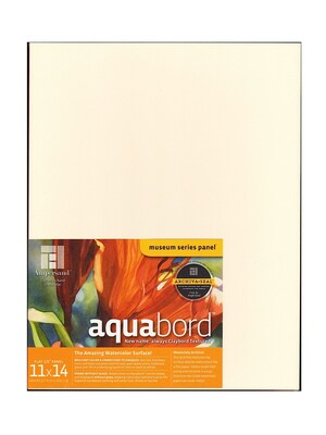 Ampersand Aquabord 11 In. X 14 In. Each [Pack Of 2] (2PK-CBT11)