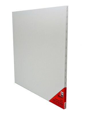 Discovery Finest Stretched Cotton Canvas White 24 In. X 24 In. Each [Pack Of 2] (2PK-TX162424)