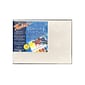 Fredrix Archival Watercolor Canvas Board 9 In. X 12 In. Each [Pack Of 2] (2PK-3440)