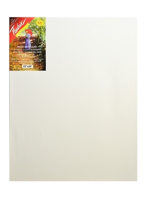 Fredrix Red Label Stretched Cotton Canvas 22 In. X 28 In. Each (5027)