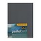 Ampersand Pastelbord 16 In. X 20 In. Gray Each (PB16)