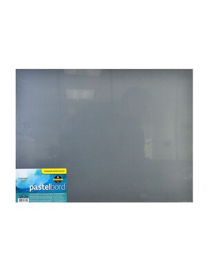 Ampersand Pastelbord 18 In. X 24 In. Gray Each (PB18)