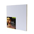 Ampersand The Artist Panel Canvas Texture Flat Profile 10 In. X 10 In. 3/8 In. [Pack Of 2] (2PK-AP9M1010)
