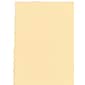 Arches Rives Bfk Printmaking Paper 22 In. X 30 In. Sheet Cream 280 Gm (100510337)