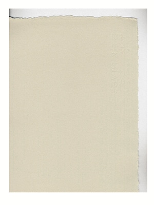 Arches Rives Bfk Printmaking Paper 30 In. X 44 In. Sheet Gray 280 Gm (204281519)