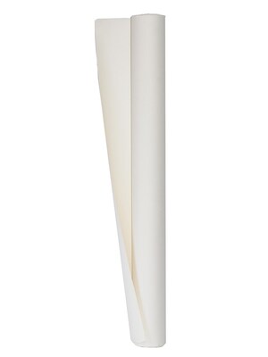 Arches Rives Bfk Printmaking Paper 42 In. X 10 Yd. Roll White 300 Gm (204282502)