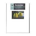 Bainbridge Archival Museum Quality Mat 11 In. X 14 In. Landscape For 4 In. X 6 In. White (GM06L)