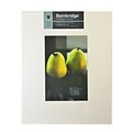 Bainbridge Archival Museum Quality Mat 16 In. X 20 In. Centered For 8 In. X 12 In. White (GM12C)