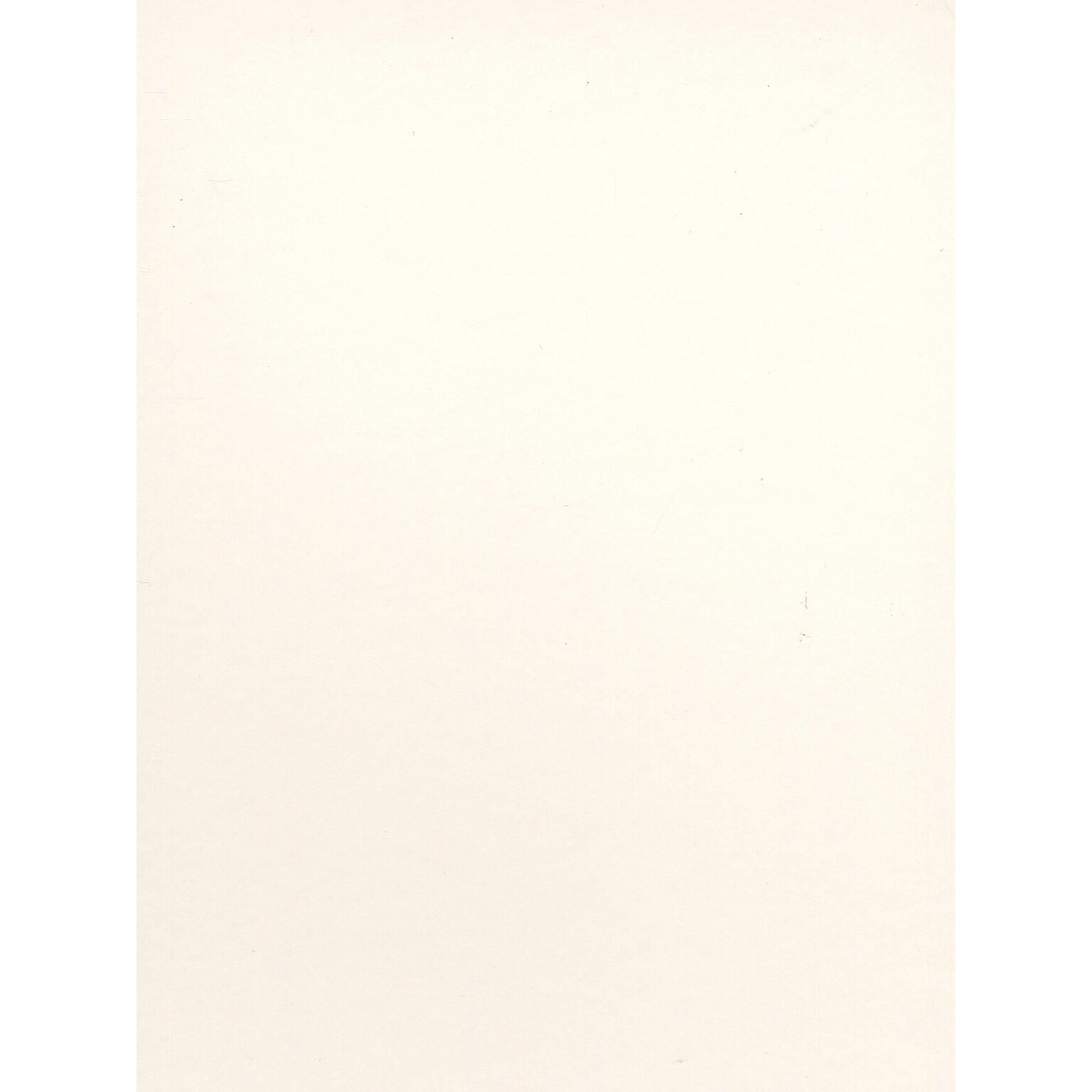 Canson Bristol Smooth Art Board 16 In. X 20 In. [Pack Of 5] (5PK-100510179)