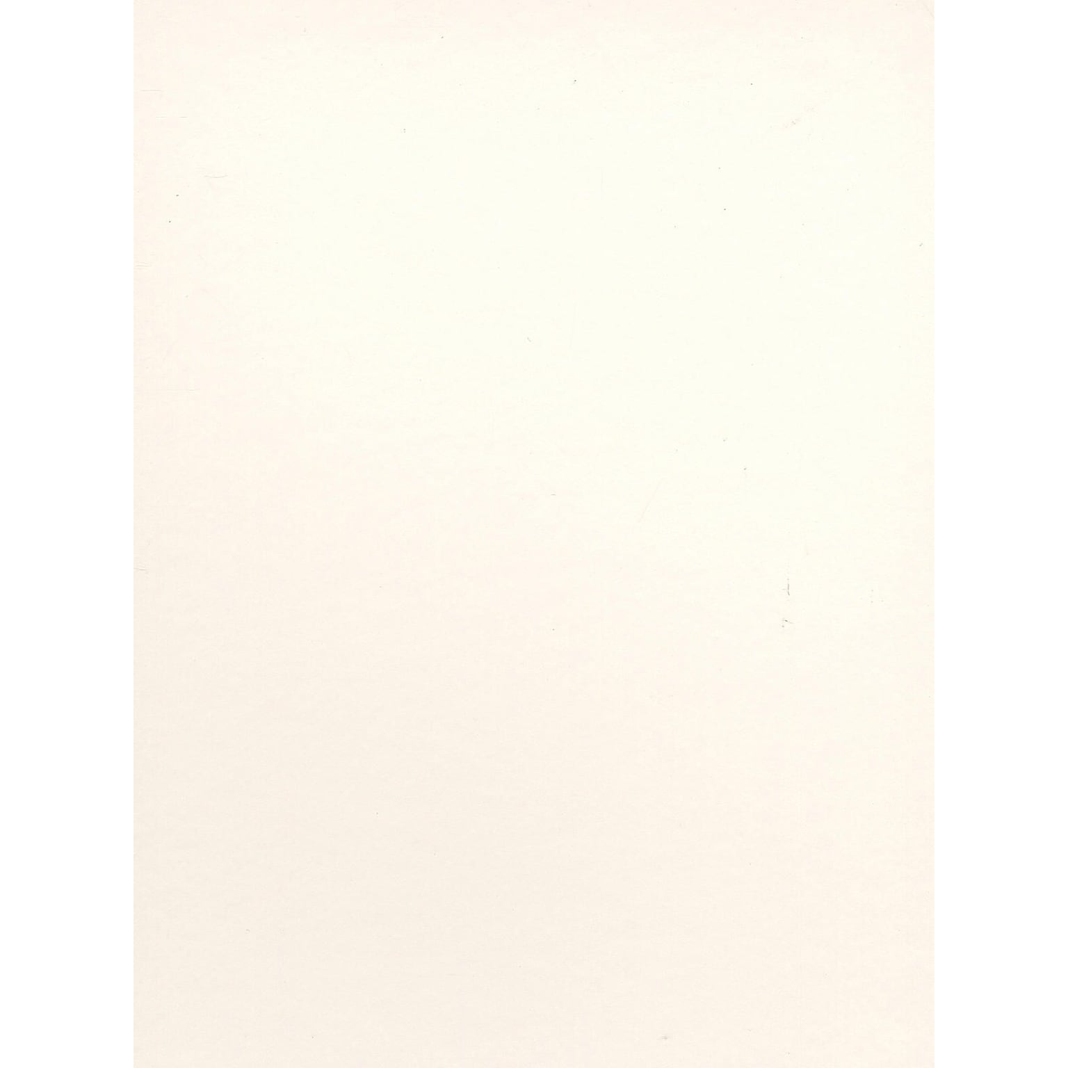 Canson Bristol Smooth Art Board 16 In. X 20 In. [Pack Of 5] (5PK-100510179)