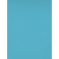 Canson Colorline Heavyweight Paper Sheets, Turquoise Blue, 300 Gsm, 19 In. x 25 In., Pack Of 10 (10PK-200041439)