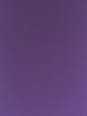 Canson Colorline Heavyweight Paper Sheets, Violet, 300 Gsm, 19 In. x 25 In., Pack Of 10 (10PK-200041432)