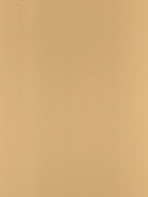Canson Mi-Teintes Mat Board Champagne 16 In. X 20 In. [Pack Of 5] (5PK-100510145)