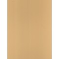 Canson Mi-Teintes Mat Board Champagne 16 In. X 20 In. [Pack Of 5] (5PK-100510145)