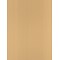 Canson Mi-Teintes Mat Board Champagne 16 In. X 20 In. [Pack Of 5] (5PK-100510145)