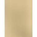 Canson Mi-Teintes Mat Board Cream 16 In. X 20 In. [Pack Of 5] (5PK-100510142)