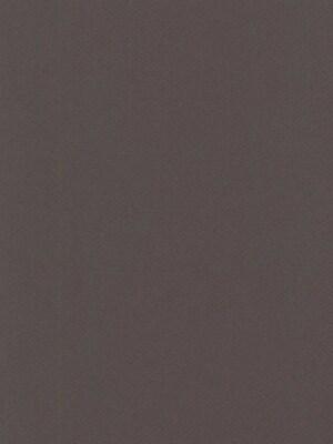 Canson Mi-Teintes Mat Board Dark Gray 16 In. X 20 In. [Pack Of 5] (5PK-100510125)