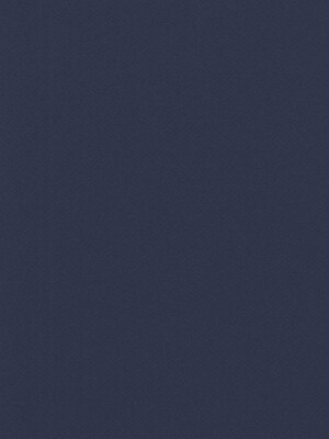 Canson Mi-Teintes Mat Board Indigo Blue 16 In. X 20 In. [Pack Of 5] (5PK-100510134)
