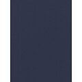 Canson Mi-Teintes Mat Board Indigo Blue 16 In. X 20 In. [Pack Of 5] (5PK-100510134)