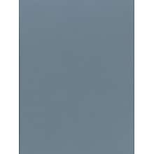 Canson Mi-Teintes Mat Board Light Blue 16 In. X 20 In. [Pack Of 5] (5PK-100510147)