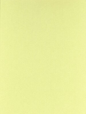 Canson Mi-Teintes Mat Board Light Green 16 In. X 20 In. [Pack Of 5] (5PK-100510146)