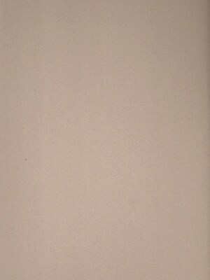 Canson Mi-Teintes Mat Board Moonstone 16 In. X 20 In. [Pack Of 5] (5PK-100510143)