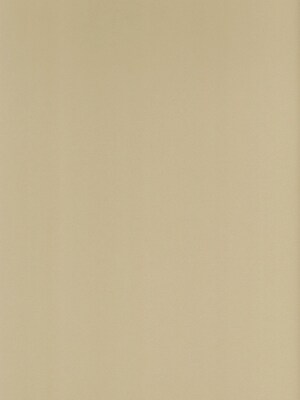 Canson Mi-Teintes Mat Board Pearl 16 In. X 20 In. [Pack Of 5] (5PK-100510124)