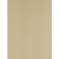 Canson Mi-Teintes Mat Board Pearl 16 In. X 20 In. [Pack Of 5] (5PK-100510124)