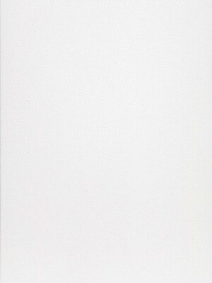 Canson Mi-Teintes Mat Board Pearl Gray 16 In. X 20 In. [Pack Of 5] (5PK-100510136)