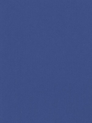 Canson Mi-Teintes Mat Board Royal Blue 16 In. X 20 In. [Pack Of 5] (5PK-100510132)