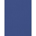Canson Mi-Teintes Mat Board Royal Blue 16 In. X 20 In. [Pack Of 5] (5PK-100510132)