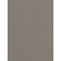 Canson Mi-Teintes Mat Board Steel Gray 16 In. X 20 In. [Pack Of 5] (5PK-100510127)