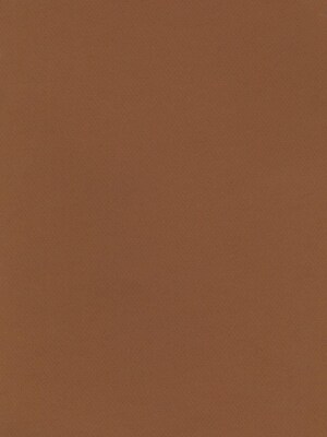 Canson Mi-Teintes Tinted Paper, Bisque, 8.5 In. x 11 In., Pack Of 25 (25PK-100511316)