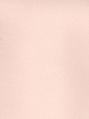Canson Mi-Teintes Tinted Paper, Dawn Pink, 19 In. x 25 In., Pack Of 10 (10PK-100511219)