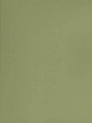Canson Mi-Teintes Tinted Paper Light Green 19 In. X 25 In. [Pack Of 10] (10PK-100511251)