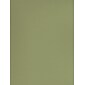 Canson Mi-Teintes Tinted Paper Light Green 19 In. X 25 In. [Pack Of 10] (10PK-100511251)