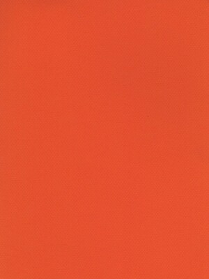 Canson Mi-Teintes Tinted Paper, Orange, 8.5 In. x 11 In., Pack Of 25 (25PK-100511308)