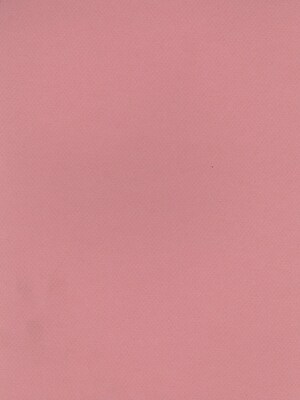Canson Mi-Teintes Tinted Paper Orchid 8.5 In. X 11 In. [Pack Of 25] (25PK-100511297)