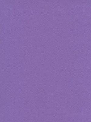 Canson Mi-Teintes Tinted Paper, Parma, 19 In. x 25 In., Pack Of 10 (10PK-100511274)
