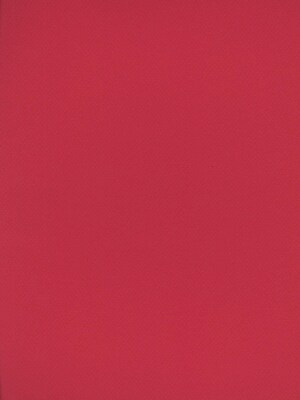 Canson Mi-Teintes Tinted Paper, Red, 8.5 In. x 11 In., Pack Of 25 (25PK-100511319)