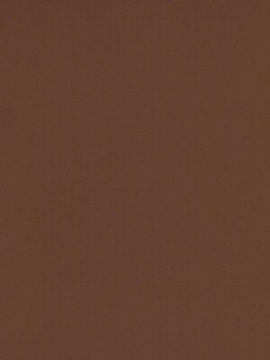 Daler-Rowney Canford Cut Paper  And  Card Sheets Card Coffee 8 1/2 In. X 11 In. [Pack Of 20] (20PK-402860014)